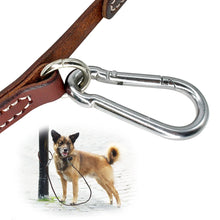 將圖片載入圖庫檢視器 Leather Dog Leash