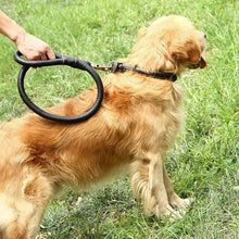 Load image into Gallery viewer, Dog Leather Leash Set