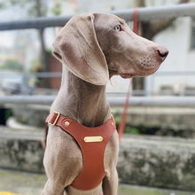 Load image into Gallery viewer, Leather Dog Chest Harness