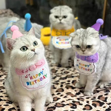 Load image into Gallery viewer, Cat Birthday Party Dress Up