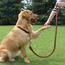 Load image into Gallery viewer, Dog Leather Leash Set