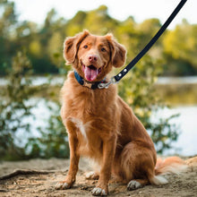 Load image into Gallery viewer, Leather Dog Leashe