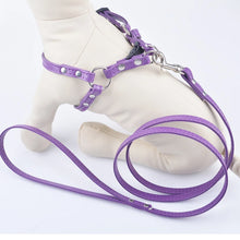 Load image into Gallery viewer, 43446400745623|43446400778391