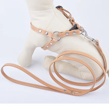 Load image into Gallery viewer, 43446400614551|43446400647319