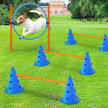 將圖片載入圖庫檢視器 Pet Agility Training Set