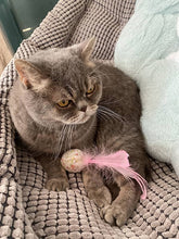 Load image into Gallery viewer, Ballmie Feather Bell Ball