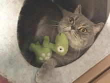 Load image into Gallery viewer, BALLMIE Dinosaurs Catnip Toy