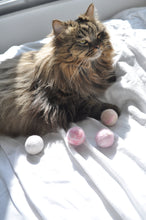 Load image into Gallery viewer, Natural Handmade Felt Wool Ball with catnip