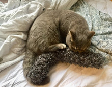 Load image into Gallery viewer, Green catnip kicker toy