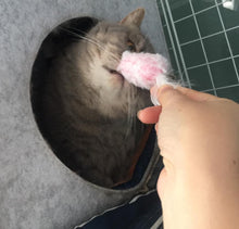 Load image into Gallery viewer, Feather Mouse Chewing toy