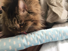 Load image into Gallery viewer, Mimical fleece catnip kicker