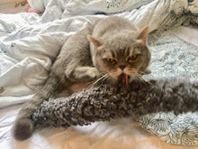 Load image into Gallery viewer, Green catnip kicker toy