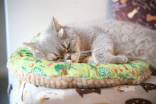 Load image into Gallery viewer, Personalized Cat Round bed