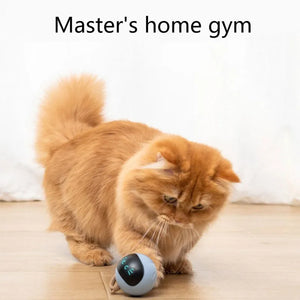 Cat Self Rotating Ball