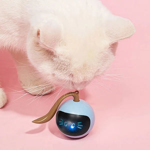 Cat Self Rotating Ball