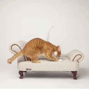 Cat Concubine sofa