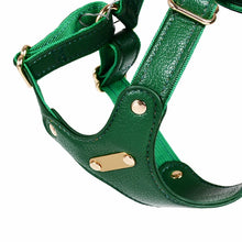 Load image into Gallery viewer, Leather Dog Chest Harness
