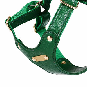 Leather Dog Chest Harness