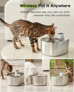 Pet Water Fountain Drinker