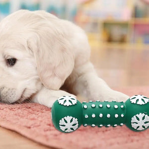 Dog Squeaky Chewing Toy