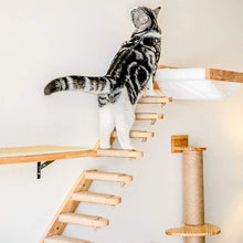 將圖片載入圖庫檢視器 Cat Climbing Shelf Wall Mounted Four Step Stairway With Sisal Scratching Post For Cats Tree Perch Platform Jumping Furniture
