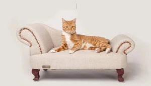 Cat Concubine sofa