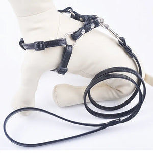 Dog Harnesses Leads