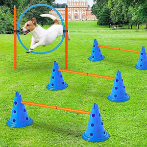 Pet Agility Training Set