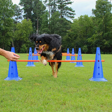 將圖片載入圖庫檢視器 Pet Agility Training Set
