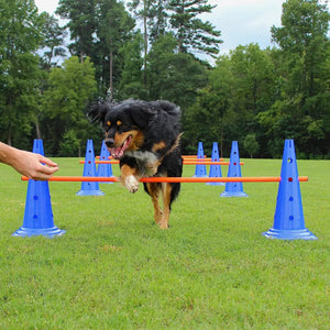 Pet Agility Training Set