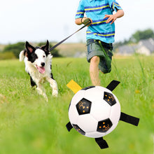 Load image into Gallery viewer, Rubber Dog Chewing Football
