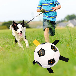 Rubber Dog Chewing Football