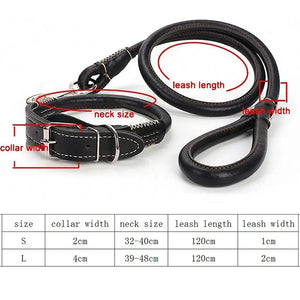 Dog Leather Leash Set