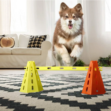 將圖片載入圖庫檢視器 Pet Agility Training Set
