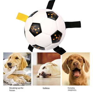 Rubber Dog Chewing Football