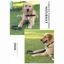 Load image into Gallery viewer, Dog Leather Leash Set
