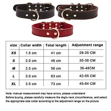 將圖片載入圖庫檢視器 Cowhide Dog Collar
