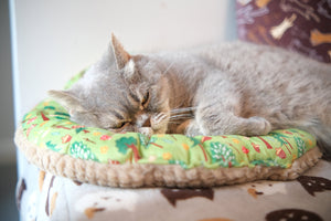 Personalized Cat Round bed